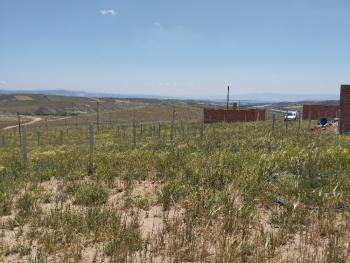 GÜVENAY - ÇORUM OSMANCIK YOLU SARMAŞA MEVKİİ SATILIK HOBİ BAHÇESİ