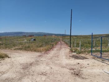 GÜVENAY - YENİ OSMANCIK YOLU YANI SATILIK BAHÇELER