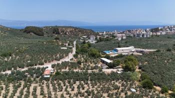 EMLAK HABERCİSİ 'NDEN MUDANYA  MERKEZE EN YAKIN IŞIKLI YOLU MEVKİİNDE ÖMERBEY TAPULU SATILIK OTH İMARLI 3 DÖNÜMARSA