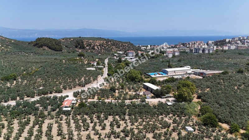 EMLAK HABERCİSİ 'NDEN MUDANYA  MERKEZE EN YAKIN IŞIKLI YOLU MEVKİİNDE ÖMERBEY TAPULU SATILIK OTH İMARLI 3 DÖNÜMARSA