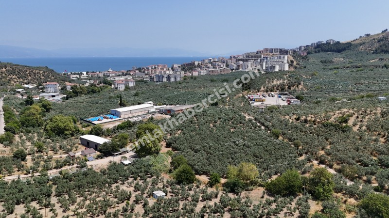 EMLAK HABERCİSİ 'NDEN MUDANYA  MERKEZE EN YAKIN IŞIKLI YOLU MEVKİİNDE ÖMERBEY TAPULU SATILIK OTH İMARLI 3 DÖNÜMARSA