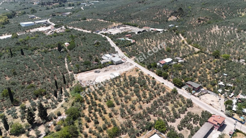 EMLAK HABERCİSİ 'NDEN MUDANYA  MERKEZE EN YAKIN IŞIKLI YOLU MEVKİİNDE ÖMERBEY TAPULU SATILIK OTH İMARLI 3 DÖNÜMARSA