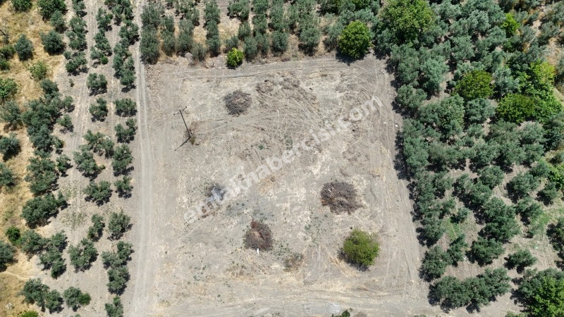 EMLAK HABERCİSİ 'NDEN MUDANYA  MERKEZE EN YAKIN IŞIKLI YOLU MEVKİİNDE ÖMERBEY TAPULU SATILIK OTH İMARLI 3 DÖNÜMARSA