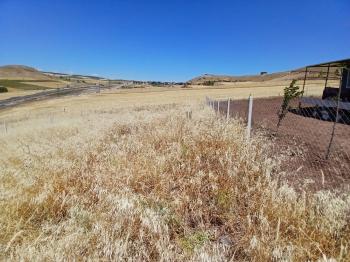 Güvenay - Çorum Yeni Osmancık Yolu Üzeri Satılık Hobi Bahçesi 