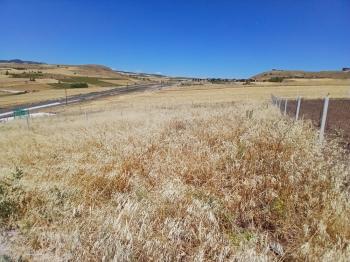 Güvenay - Çorum Yeni Osmancık Yolu Üzeri Satılık Hobi Bahçesi 