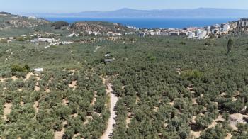 EMLAK HABERCİSİ 'NDEN MUDANYA İLÇE MERKEZİNE ARAÇ İLE 4 DAK MESAFEDE, DENİZ MANZARALI SATILIK 1.661 M2 ARAZİ
