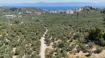 EMLAK HABERCİSİ 'NDEN MUDANYA İLÇE MERKEZİNE ARAÇ İLE 4 DAK MESAFEDE, DENİZ MANZARALI SATILIK 1.661 M2 ARAZİ