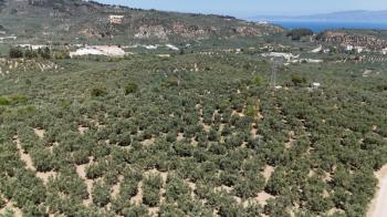EMLAK HABERCİSİ 'NDEN MUDANYA İLÇE MERKEZİNE ARAÇ İLE 4 DAK MESAFEDE, DENİZ MANZARALI SATILIK 1.661 M2 ARAZİ