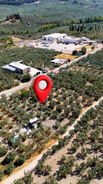 EMLAK HABERCİSİ 'NDEN MUDANYA MERKEZE 3 DAKİKA, IŞIKLI YOLU MEVKİİ, 2.244 M2 SATILIK ZEYTİNLİK