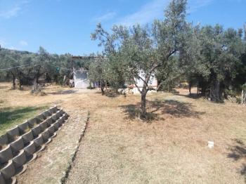 EMLAK HABERCİSİ 'NDEN MUDANYA KUMYAKA'DA 2.800 M2 ARAZİSİ OLAN SATILIK MÜSTAKİL 5+1 KONAK VE MÜŞTEMİLATI