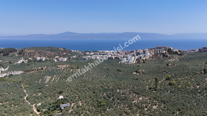 EMLAK HABERCİSİ 'NDEN MUDANYA İLÇE MERKEZİNE ARAÇ İLE 4 DAK MESAFEDE, DENİZ MANZARALI SATILIK 1.661 M2 ARAZİ