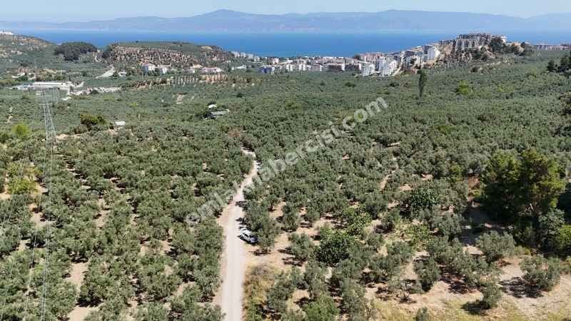 EMLAK HABERCİSİ 'NDEN MUDANYA İLÇE MERKEZİNE ARAÇ İLE 4 DAK MESAFEDE, DENİZ MANZARALI SATILIK 1.661 M2 ARAZİ