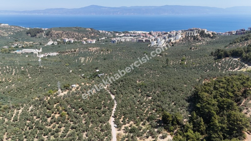 EMLAK HABERCİSİ 'NDEN MUDANYA İLÇE MERKEZİNE ARAÇ İLE 4 DAK MESAFEDE, DENİZ MANZARALI SATILIK 1.661 M2 ARAZİ