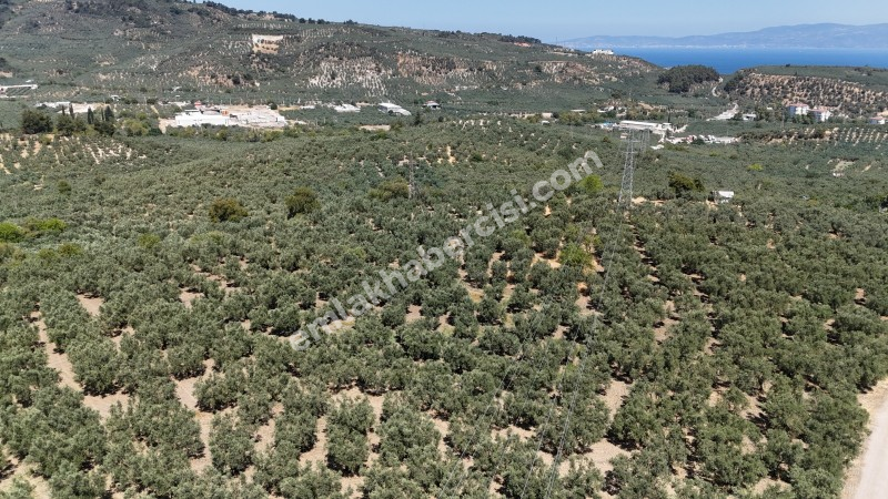 EMLAK HABERCİSİ 'NDEN MUDANYA İLÇE MERKEZİNE ARAÇ İLE 4 DAK MESAFEDE, DENİZ MANZARALI SATILIK 1.661 M2 ARAZİ