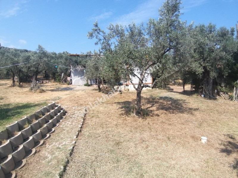 EMLAK HABERCİSİ 'NDEN MUDANYA KUMYAKA'DA 2.800 M2 ARAZİSİ OLAN SATILIK MÜSTAKİL 5+1 KONAK VE MÜŞTEMİLATI