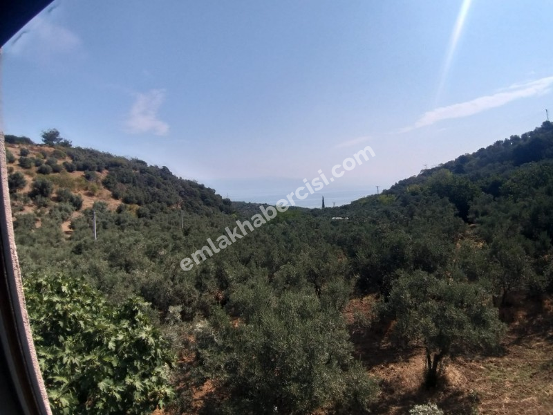 EMLAK HABERCİSİ 'NDEN MUDANYA KUMYAKA'DA 2.800 M2 ARAZİSİ OLAN SATILIK MÜSTAKİL 5+1 KONAK VE MÜŞTEMİLATI