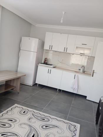 ÇORUM İSKİLİP YOLUNDA, İÇİNDE EVİ OLAN SATILIK, TEL ÖRGÜLÜ BAHÇE!