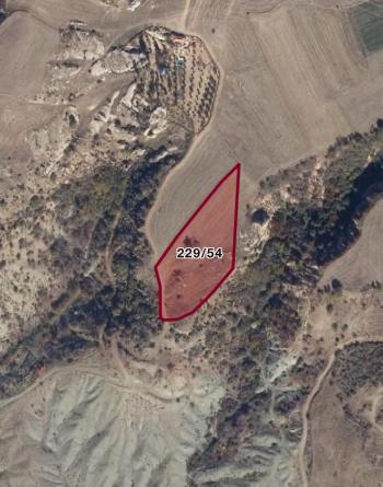 Güvenay - Çorum Ted İlerisi Büğet Yolu  7 Dönüm Satılık Tarla 