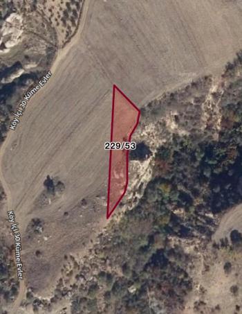 Güvenay - Çorum Ted İlerisi Büğet Yolu  7 Dönüm Satılık Tarla 