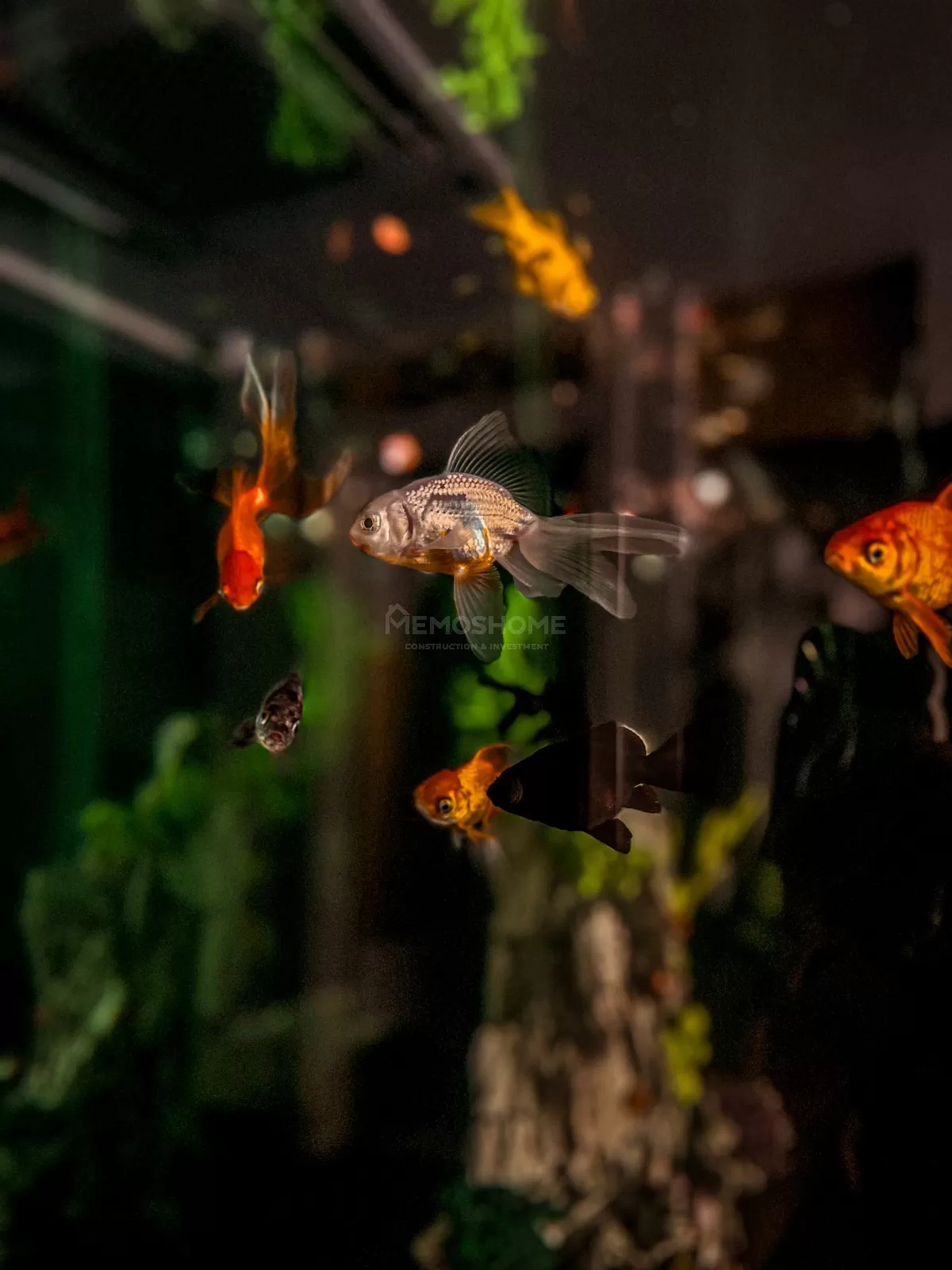 Luxury 1+1 Apartment in Alanya