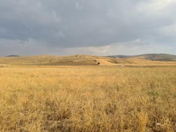 ULUAĞAÇTA  40 DÖNÜM  VERİMLİ DÜZ SATILIK TARLA 