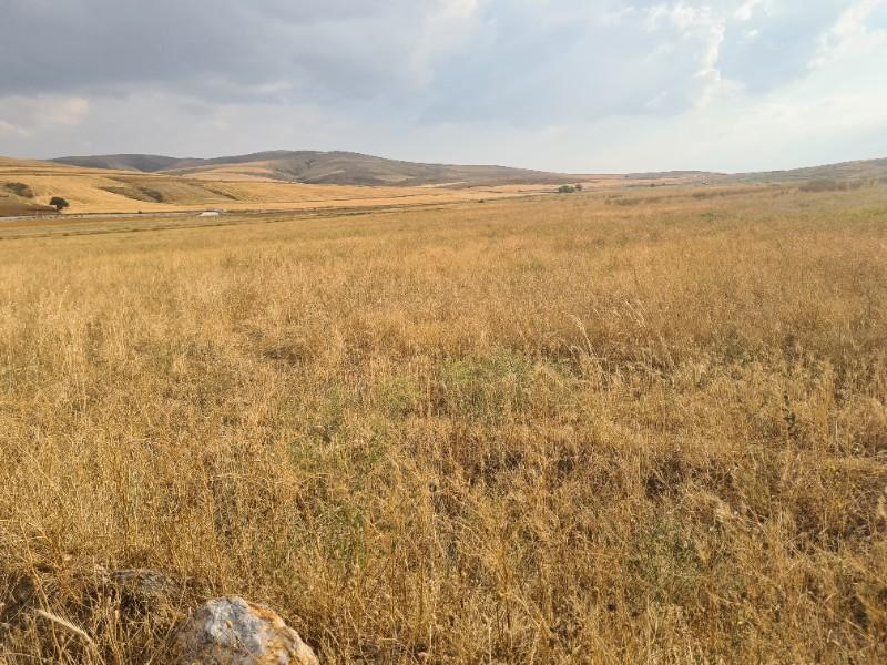 ULUAĞAÇTA  40 DÖNÜM  VERİMLİ DÜZ SATILIK TARLA 
