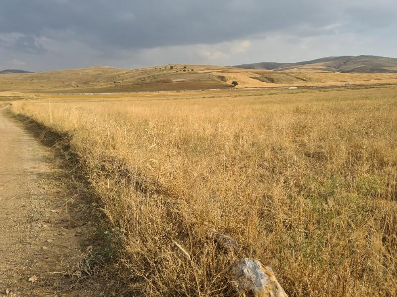 ULUAĞAÇTA  40 DÖNÜM  VERİMLİ DÜZ SATILIK TARLA 