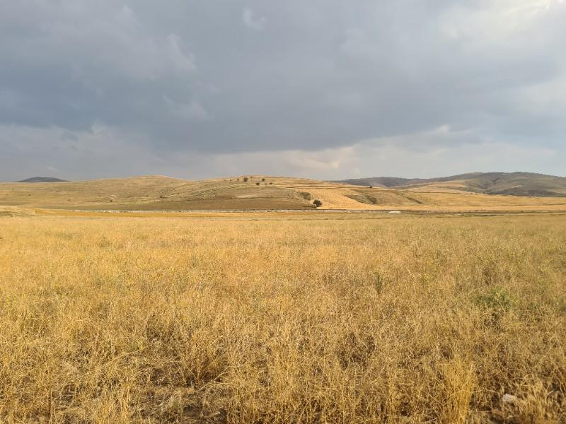 ULUAĞAÇTA  40 DÖNÜM  VERİMLİ DÜZ SATILIK TARLA 