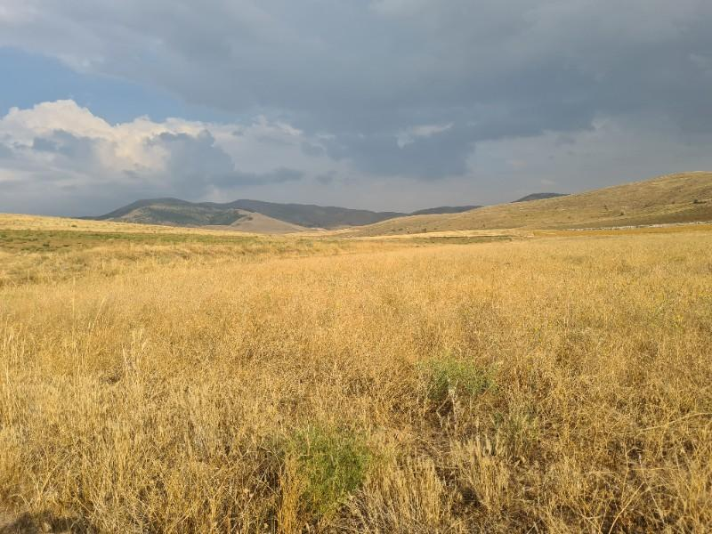 ULUAĞAÇTA  40 DÖNÜM  VERİMLİ DÜZ SATILIK TARLA 