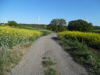 DEĞİRMENKÖYDE YATIRIMLIK 1270 M2 TEK TAPU TARLA 