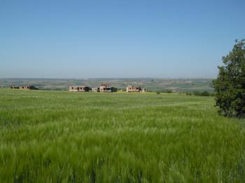 DEĞİRMENKÖYDE SATILIK TARLA 