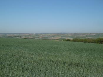DEĞİRMENKÖYDE SATILIK TARLA 
