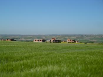 DEĞİRMENKÖYDE SATILIK TARLA 