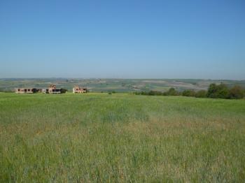 DEĞİRMENKÖYDE SATILIK TARLA 