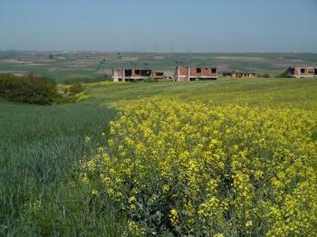 DEĞİRMENKÖYDE SATILIK TARLA 