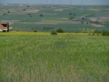 DEĞİRMENKÖYDE SATILIK TARLA 