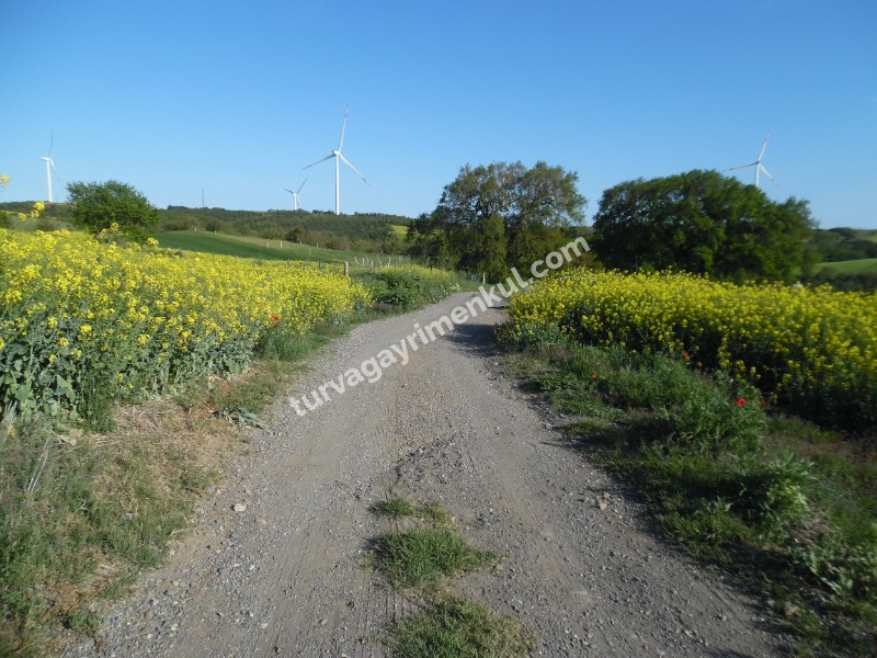 DEĞİRMENKÖYDE YATIRIMLIK 1270 M2 TEK TAPU TARLA 