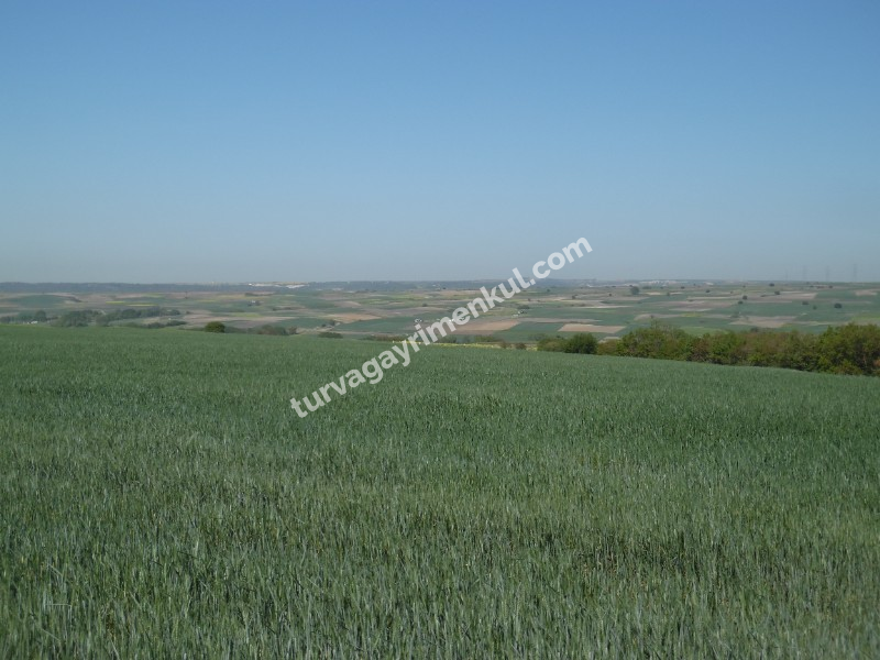 DEĞİRMENKÖYDE SATILIK TARLA 