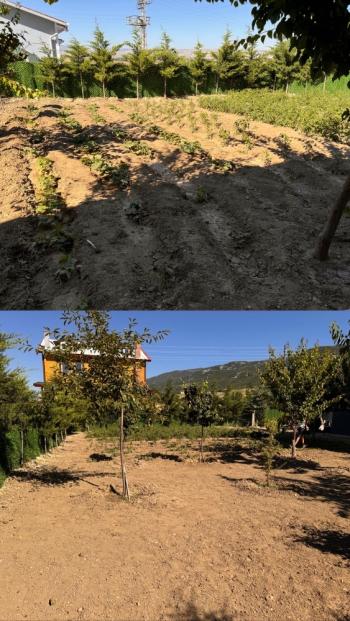 Güvenay - Çorum  Kılıçören'de Doğayla İç İçe, Eksiksiz ve Masrafsız Tam Donanımlı Bağ Evi!