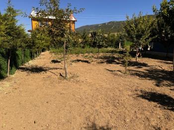 Güvenay - Çorum  Kılıçören'de Doğayla İç İçe, Eksiksiz ve Masrafsız Tam Donanımlı Bağ Evi!