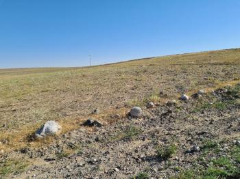 NİĞDE ÇAYIRLIDA  SATLIK  YOLA CEPHELİ 8 dönüm  tarla 