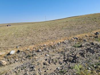 NİĞDE ÇAYIRLIDA  SATLIK  YOLA CEPHELİ 8 dönüm  tarla 