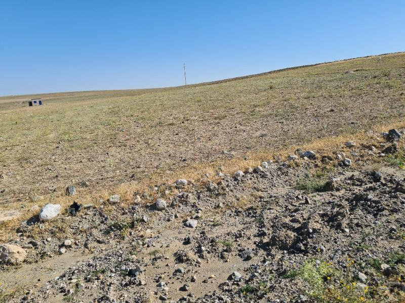 NİĞDE ÇAYIRLIDA  SATLIK  YOLA CEPHELİ 8 dönüm  tarla 