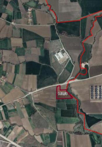 GÜVENAY - ÇORUM CELİLKIRI SATILIK 10 DÖNÜM TARLA