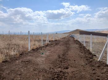 GÜVENAY - ÇORUM OSMANCIK YOLU SARMAŞA MEVKİ TAKSİTLİ SATILIK HOBİ BAHÇESİ