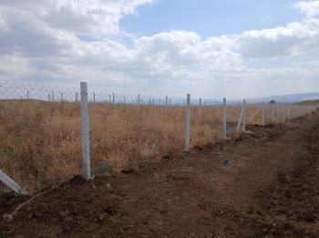 GÜVENAY - ÇORUM OSMANCIK YOLU SARMAŞA MEVKİ TAKSİTLİ SATILIK HOBİ BAHÇESİ