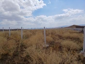 GÜVENAY - ÇORUM OSMANCIK YOLU SARMAŞA MEVKİ TAKSİTLİ SATILIK HOBİ BAHÇESİ