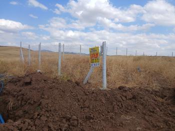 GÜVENAY - ÇORUM OSMANCIK YOLU SARMAŞA MEVKİ TAKSİTLİ SATILIK HOBİ BAHÇESİ