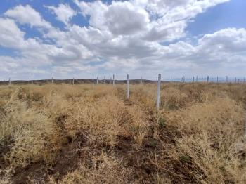 GÜVENAY - ÇORUM OSMANCIK YOLU SARMAŞA MEVKİ TAKSİTLİ SATILIK HOBİ BAHÇESİ