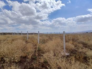 GÜVENAY - ÇORUM OSMANCIK YOLU SARMAŞA MEVKİ TAKSİTLİ SATILIK HOBİ BAHÇESİ